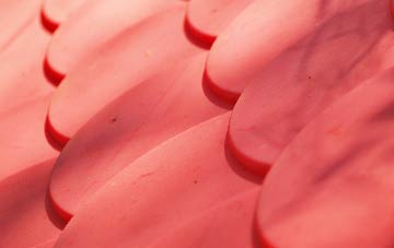 Higher Dunstone plastic roof costs